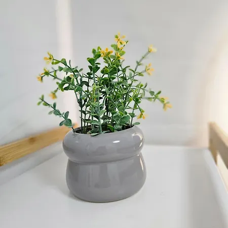 Lejlighed Zen Sea View Saturn