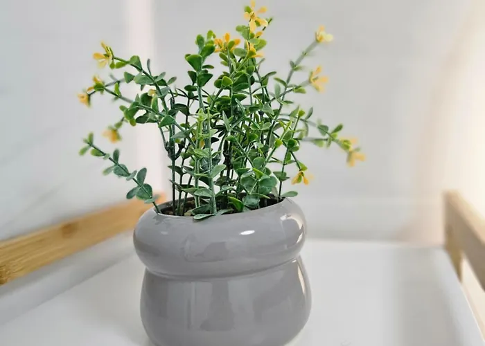 Appartement Zen Sea View Saturn